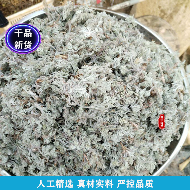 茵陈野生中药材茵陈苗批发原产地干货精选正品新货整棵干品