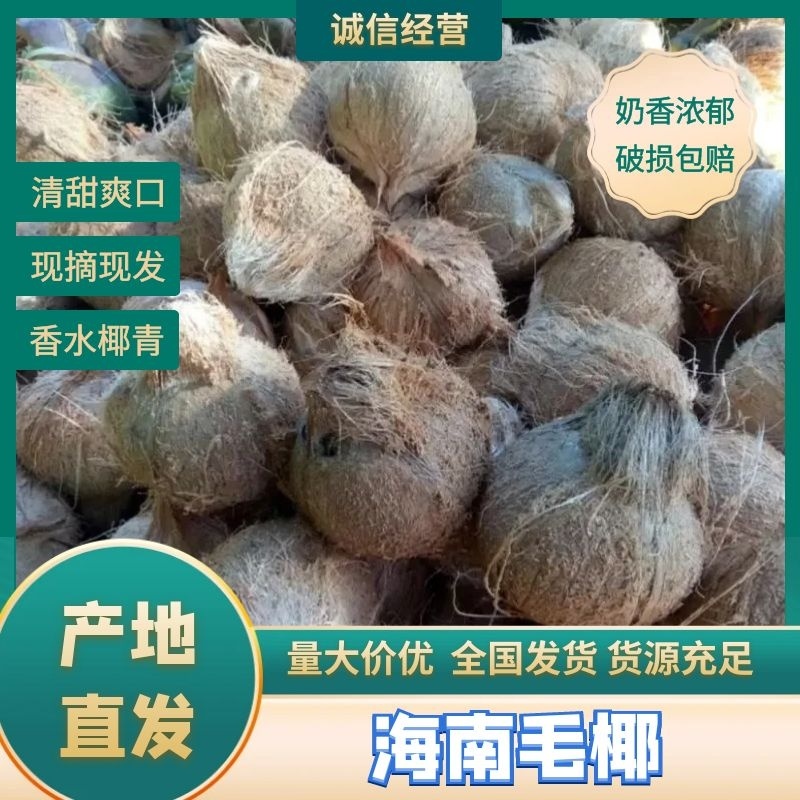 【毛椰】越南毛椰大量出口对接市场电商产地一手货源电联优惠