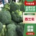 宁夏西兰花大量上市，价格优惠，品质保证欢迎咨询