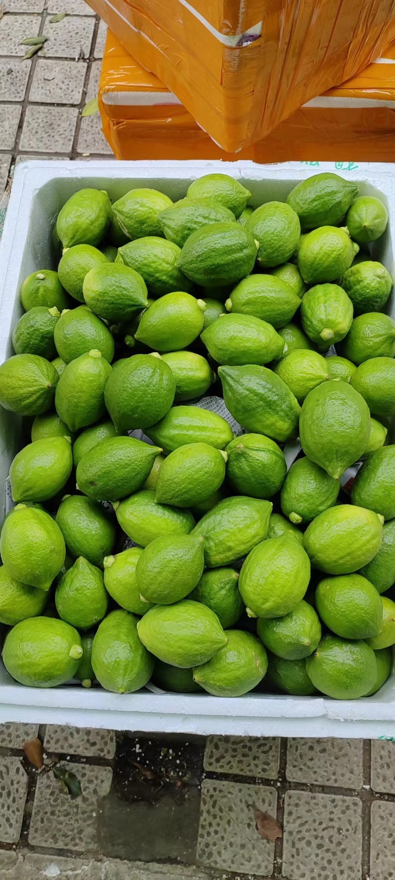 香水柠檬品质保证产地直发可视频看货欢迎咨询