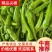 山东精品尖椒辣椒，大量供应现货现发，量大价优，品质保证