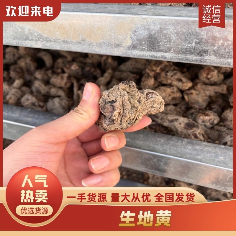 生地黄河南焦作四大怀药中药材生地黄批发零售价格优惠