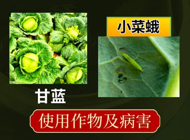 9.8%甲维虱螨脲菜青虫小菜蛾食心虫甜菜夜蛾虫卵双打高活