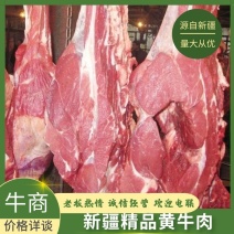 【牛肉】新疆黄牛肉规格齐全货源充足量大从优欢迎咨询