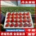 丹东草莓东港久久草莓包邮坏果包赔网红电商一件发货