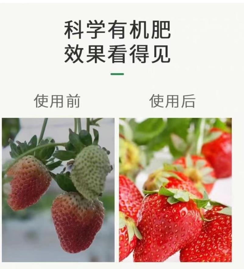 威伯草莓专用肥料高钾高钙生根壮棵膨果着色防畸防裂有机水溶