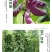 威伯豆类专用肥8斤装冲施肥芸豆四季豆肥桶装肥豆多收正品水