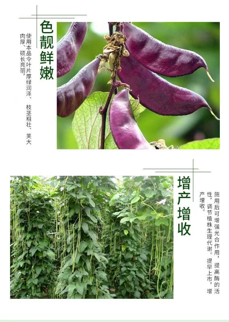 威伯豆类专用肥8斤装冲施肥芸豆四季豆肥桶装肥豆多收正品水