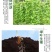 威伯豆类专用肥8斤装冲施肥芸豆四季豆肥桶装肥豆多收正品水