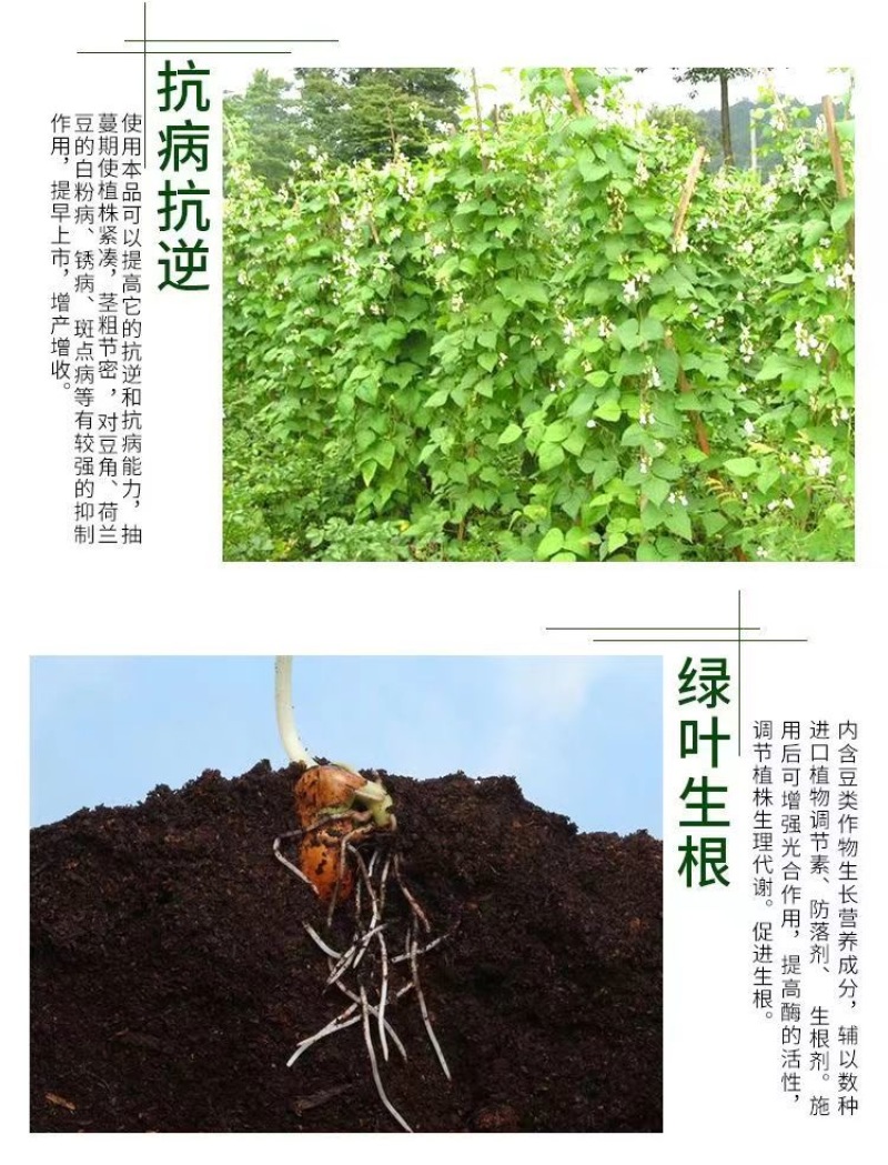 威伯豆类专用肥8斤装冲施肥芸豆四季豆肥桶装肥豆多收正品水