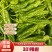 【301辣椒】河南夏邑，大棚精品鲜辣椒量大从优诚信经营。