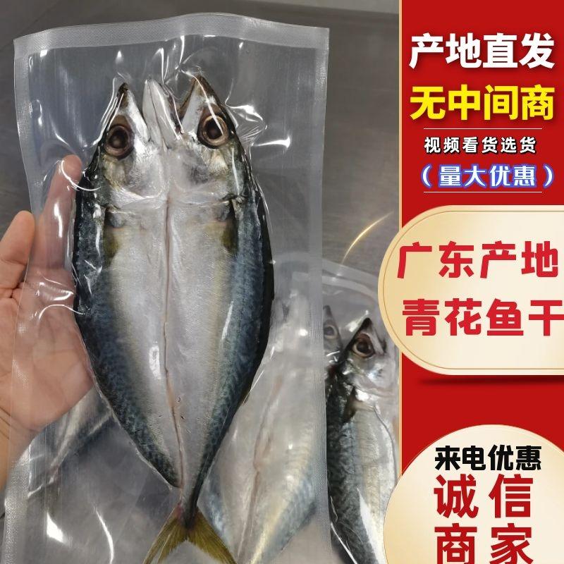 开掌青花鱼串干淡香鱼半干烘烤专用深海鱼广东产地