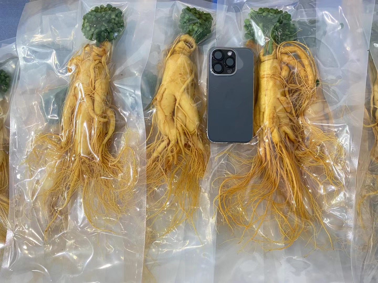 透明包装的保鲜参产品陈列在冷链货架上