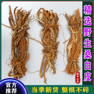 桑树根皮桑白皮整根野生老桑树根切段批发零售另有桑枝片