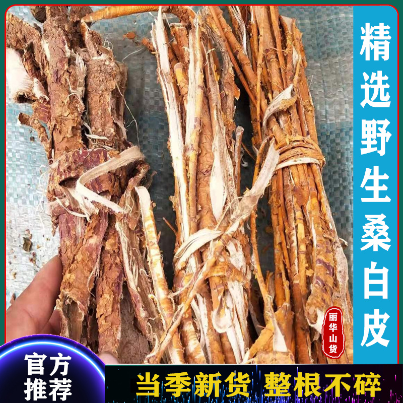 桑树根皮桑白皮整根野生老桑树根切段批发零售另有桑枝片