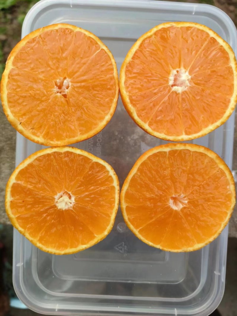【精品】粑粑柑，产地直发质量保证，货源充足欢迎选购