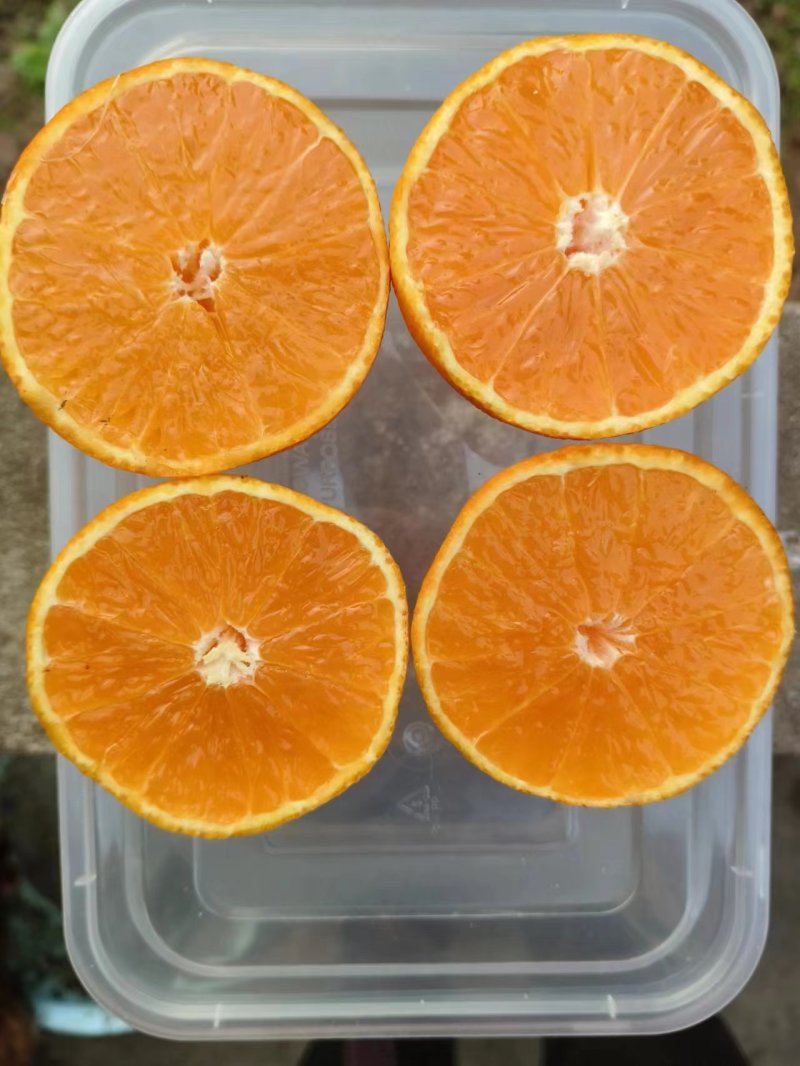【精品】粑粑柑，产地直发质量保证，货源充足欢迎选购