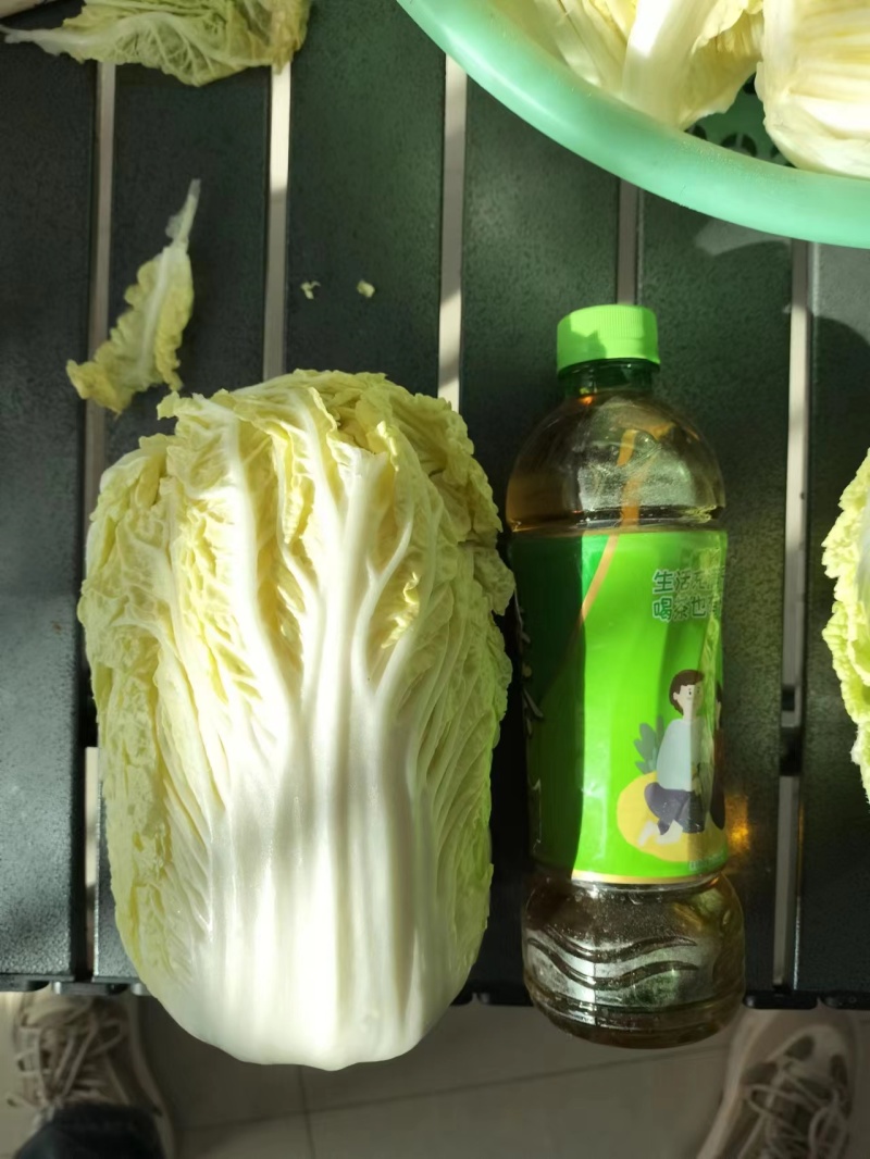 优质娃娃菜品质保证自产自销人工挑选量大优惠欢迎来电