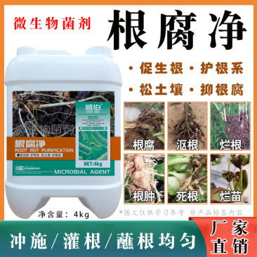 根腐净微生物菌枯萎茎基腐病根腐病恶霉灵蔬菜生壮根叶面肥