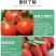 根腐净微生物菌枯萎茎基腐病根腐病恶霉灵蔬菜生壮根叶面肥