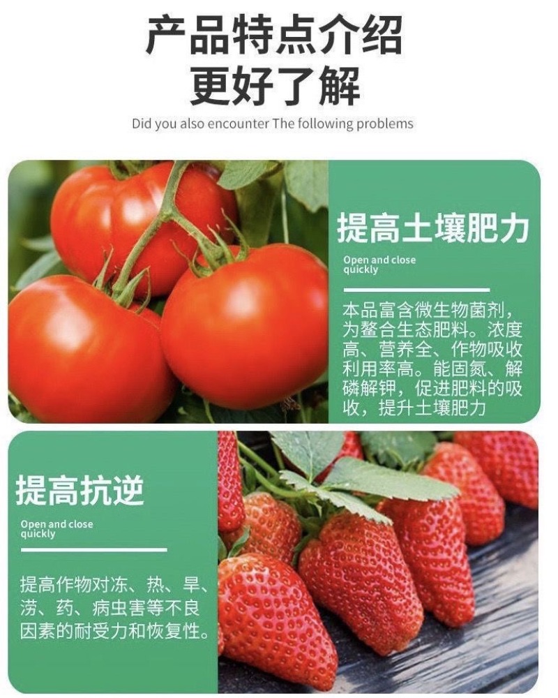 根腐净微生物菌枯萎茎基腐病根腐病恶霉灵蔬菜生壮根叶面肥