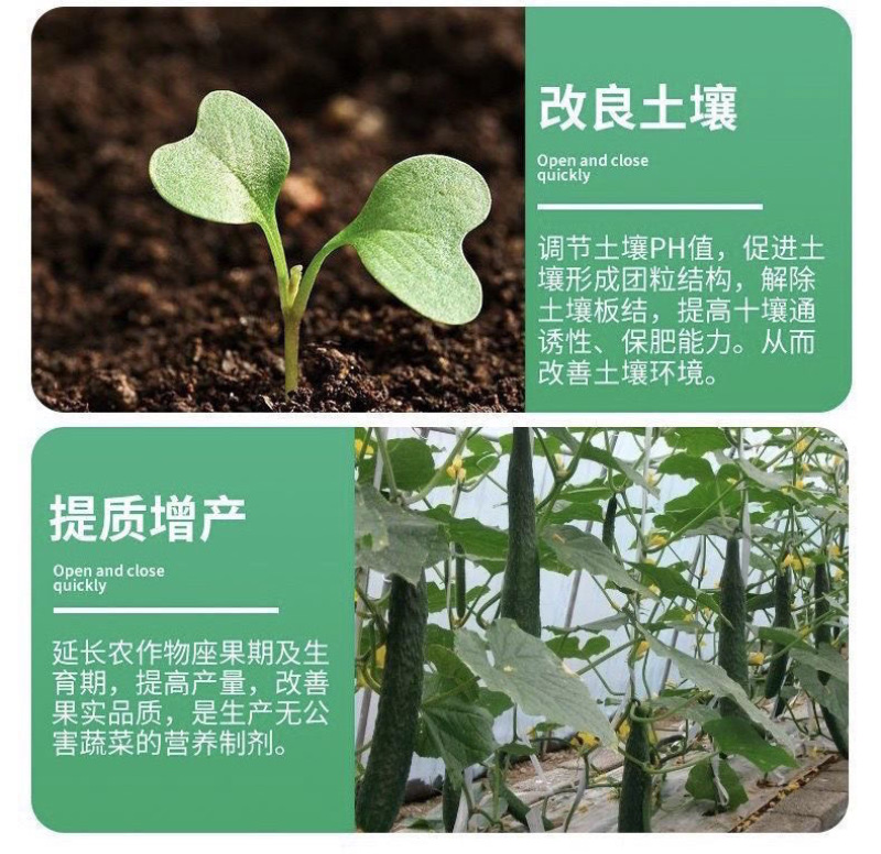 根腐净微生物菌枯萎茎基腐病根腐病恶霉灵蔬菜生壮根叶面肥