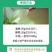 根腐净微生物菌枯萎茎基腐病根腐病恶霉灵蔬菜生壮根叶面肥