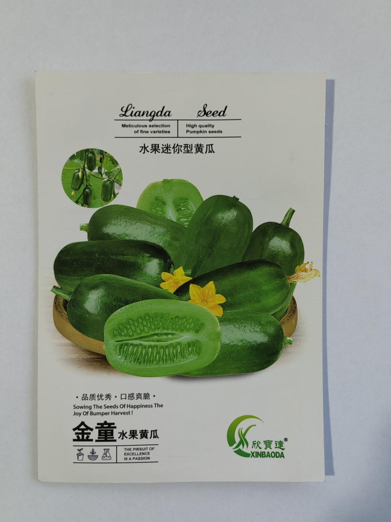 金童迷你型水果黄瓜种子早熟耐低温适应性广泛优质良种