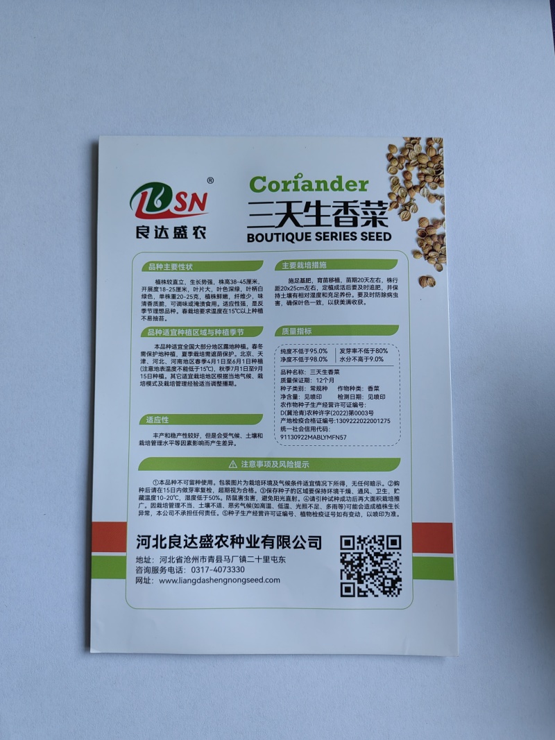 免破壳三天生香菜种子植株鲜嫩纤维少味清香质脆适应性广泛
