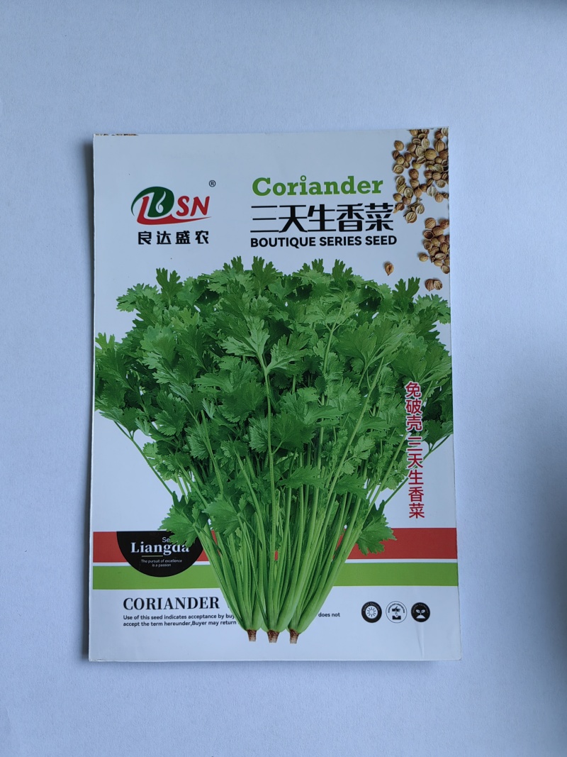 免破壳三天生香菜种子植株鲜嫩纤维少味清香质脆适应性广泛