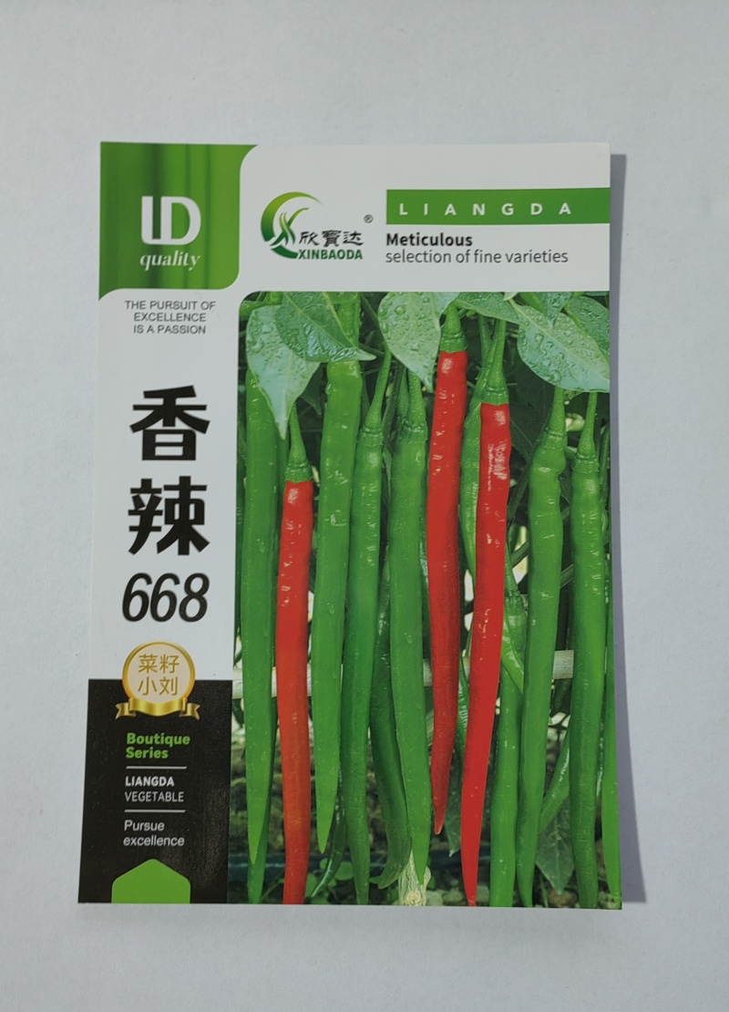 香辣668辣椒种子中早熟挂果多肉厚光滑口感香辣产量高