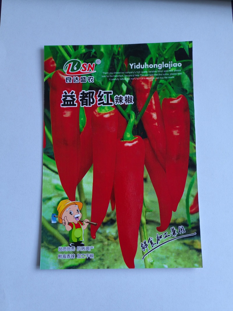 益都红辣椒种子植株直立生长势强辣味浓亮度高品质好适应性广