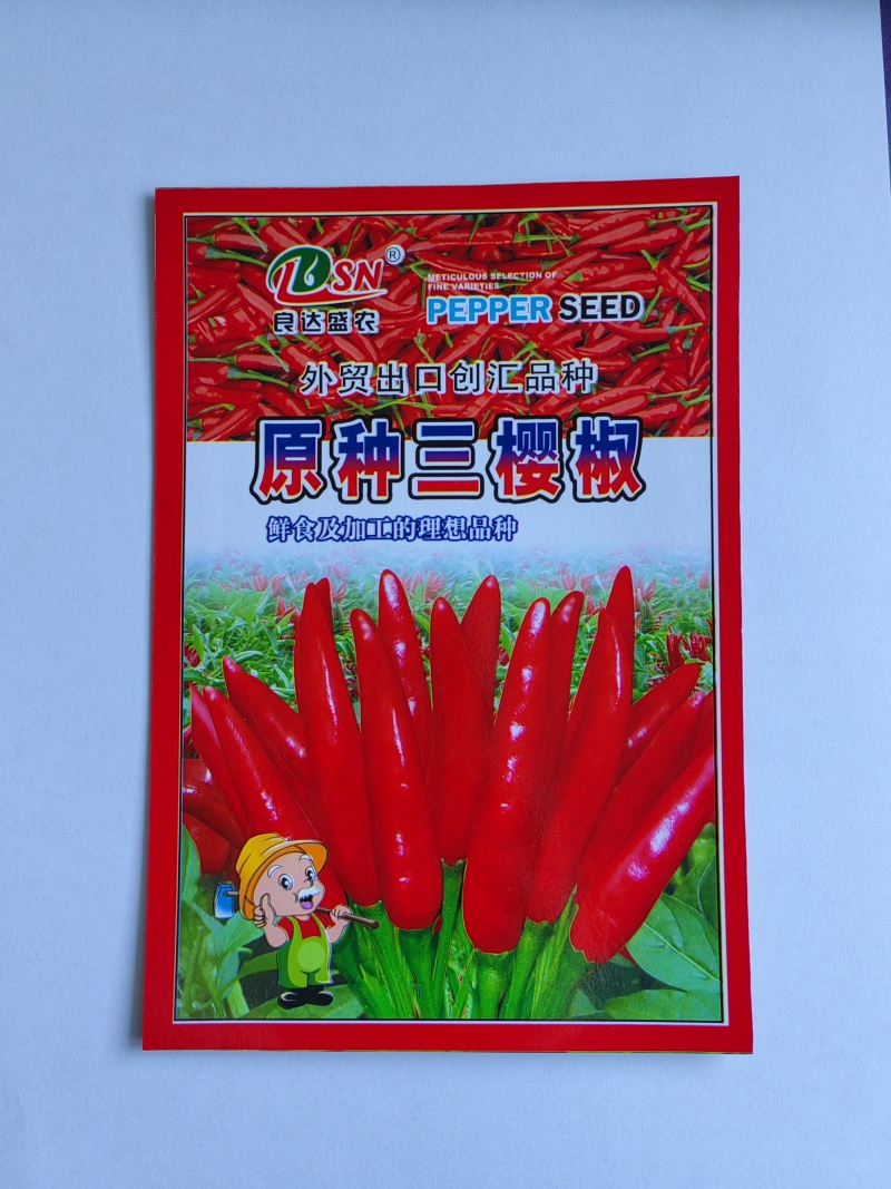 原种三樱椒辣椒种子皮色好辣味浓抗病高产适应性广泛优质良种