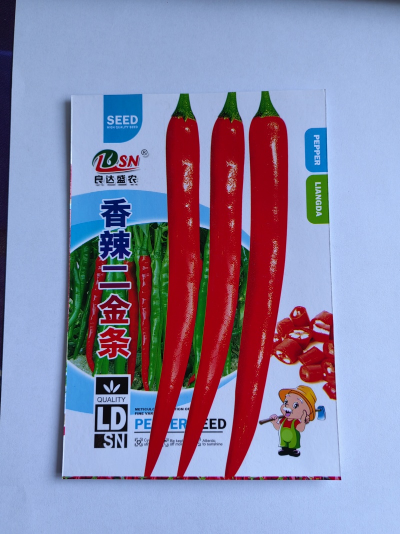 香辣二金条辣椒种子中熟品种水分少辣味强适应性广泛优质良种