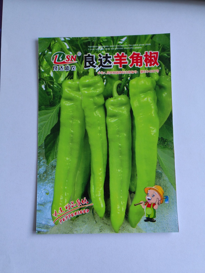 良达羊角椒种子早中熟品种植株生长势强辣味浓香品质好