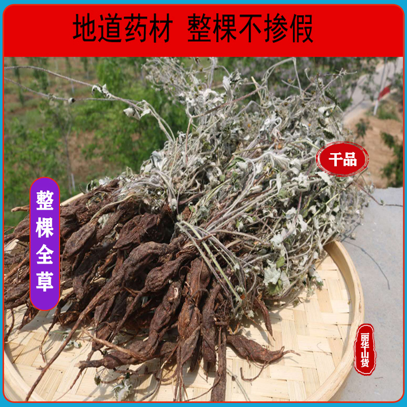 翻白草新货野生整棵带根新鲜晒干正品全国发货产地批发