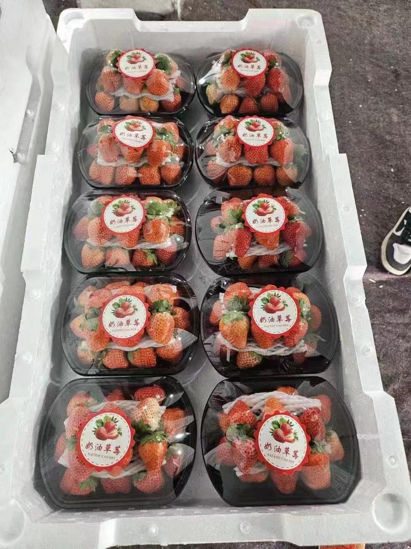 【推荐】徐州宁玉草莓奶油草莓产地直发品质保证一条龙服务