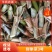 9分一牙，甜象草3号无毛高产现货一件代发