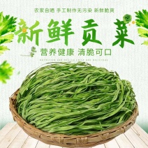 贡菜干品质保证产地直发可视频欢迎咨询