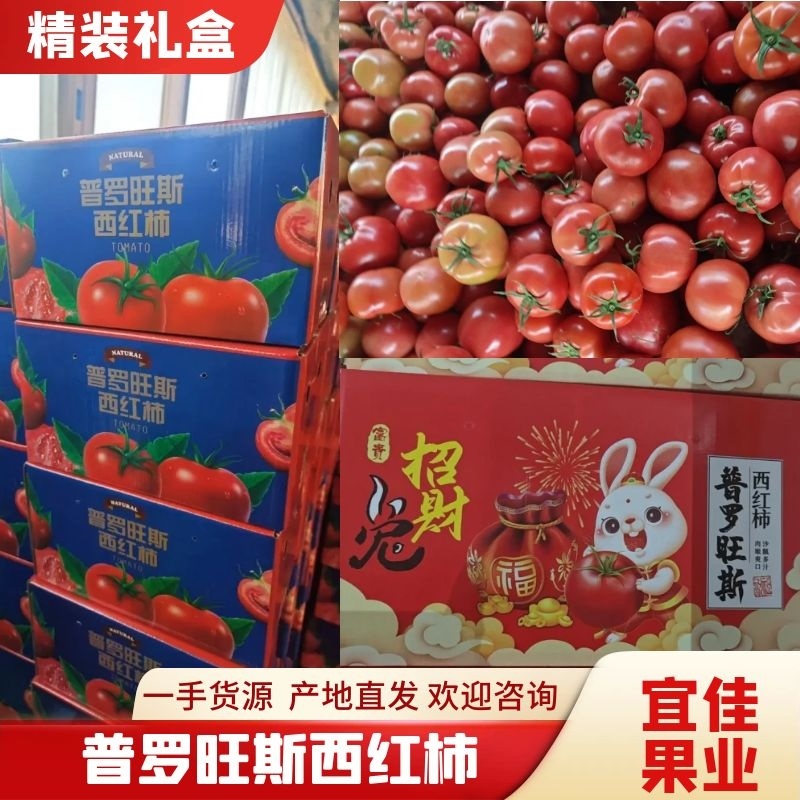 山东番茄沙瓤西红柿普罗旺斯西红柿落地配精品礼盒包装