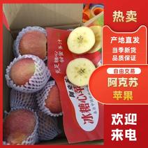新疆阿克苏苹果冰糖心苹果产地直发对接批发市场电商社区
