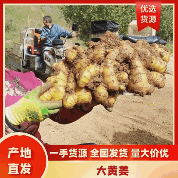 【风干姜】山东生姜产地、沙土姜、水洗姜、风干姜/全国发货