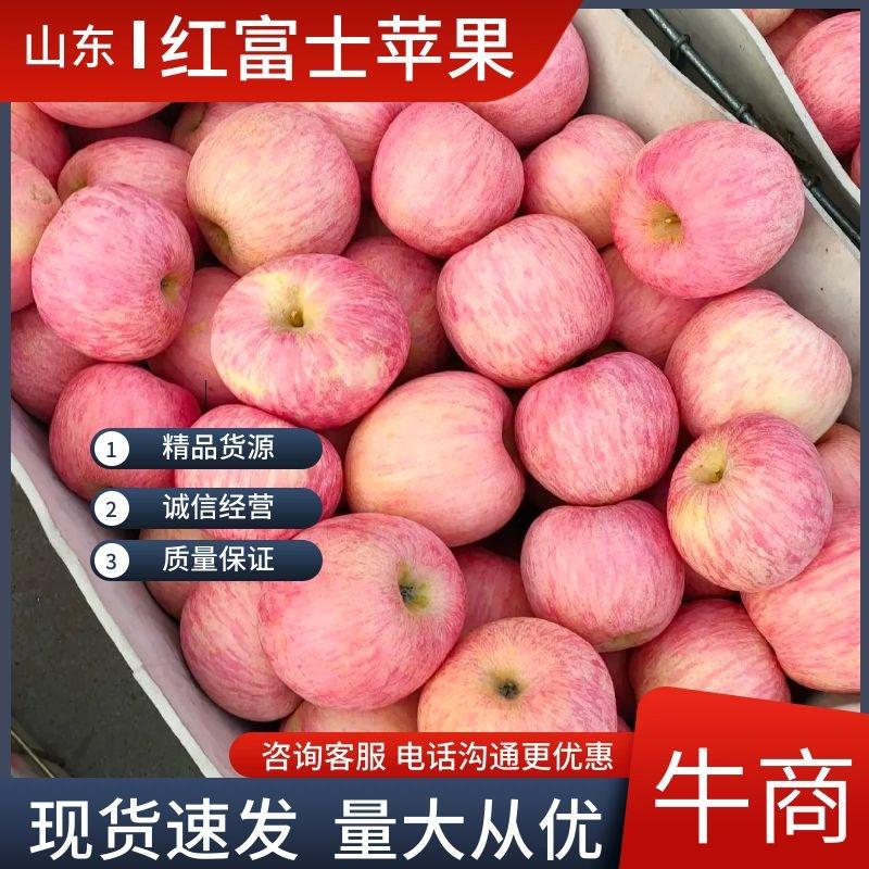 山东富士苹果80以上纸袋口感好，甜度高量
