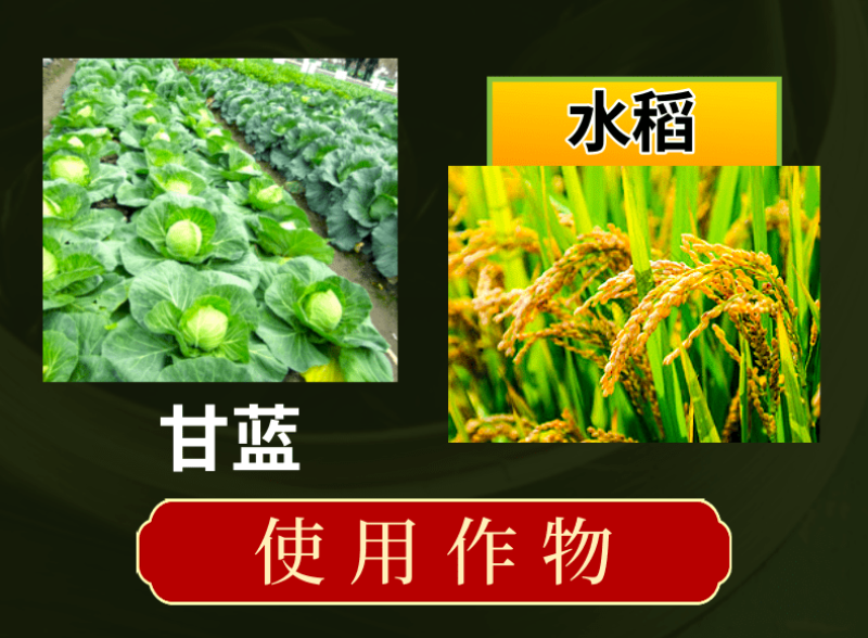 兴柏5%阿维菌素乳油小菜蛾稻纵卷叶螟果树蔬菜农药杀虫剂