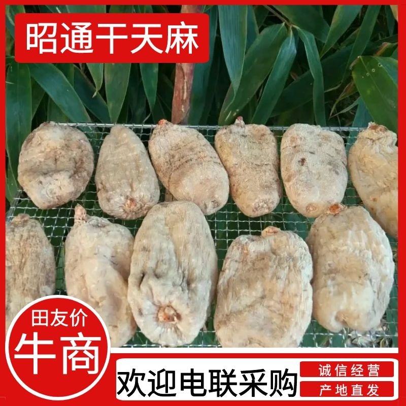 云南世界天麻原产地小草坝干天麻，原本色，全干无硫