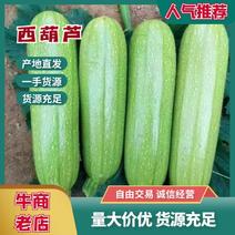 【荐】绿皮西葫芦新鲜茄瓜西葫芦量大价优包装好欢迎选购