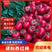 【荐】新鲜西红柿江苏硬粉西红柿光果商超电商供应