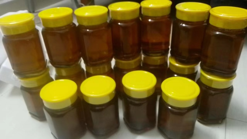 纯中华土蜂蜜，鸭脚木蜜