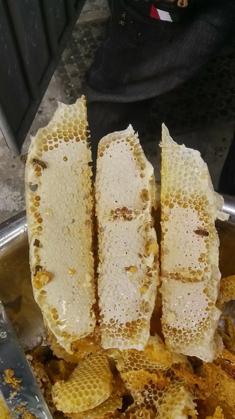纯中华土蜂蜜，鸭脚木蜜