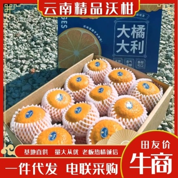 【一件代发】高原沃柑精美礼盒装送礼优选精品商超品质